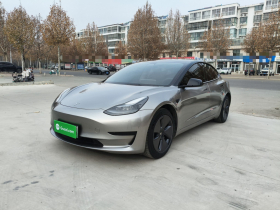 特斯拉 Model 3 2022款 后轮驱动版