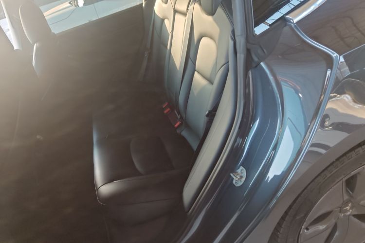 特斯拉 Model 3 2020款 改款 长续航后轮驱动版中控内饰21