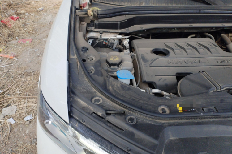 哈弗H6 2021款 1.5T 自动冠军版局部细节9006