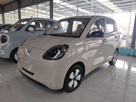 五菱汽车 宏光MINIEV 2025款 四门版 进阶款