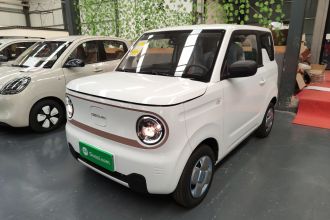 吉利银河 2024款 熊猫mini 200km 耐力熊