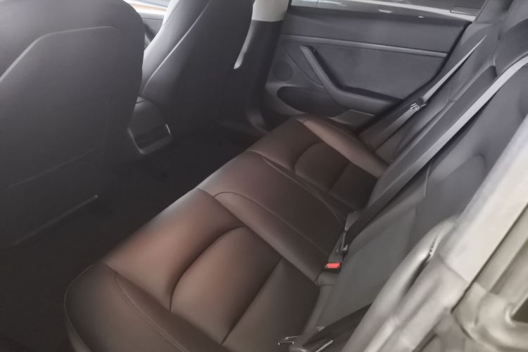 特斯拉 Model 3 2021款 改款 标准续航后驱升级版 3D1中控内饰7004