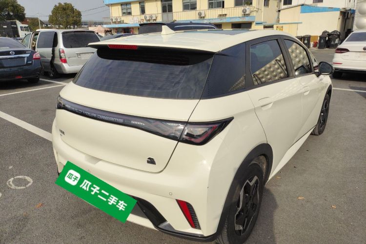 比亚迪 海豚 2021款 405km 时尚版车身外观7