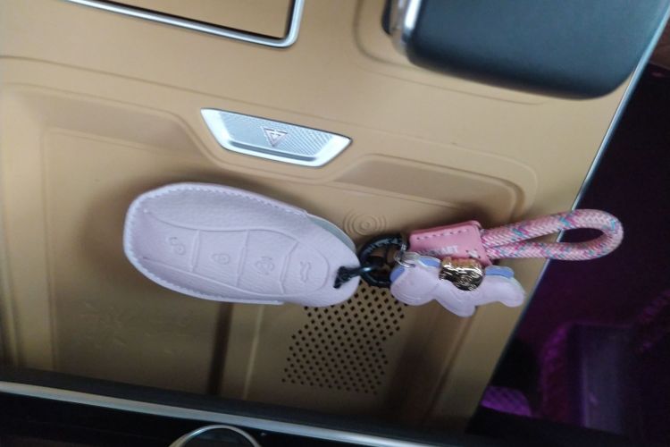 红旗HS5 2023款 2.0T 四驱旗领Pro版中控内饰7001