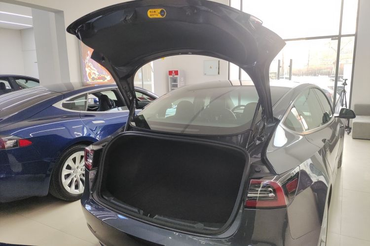 特斯拉 Model 3 2021款 标准续航后驱升级版 3D6机舱底盘23