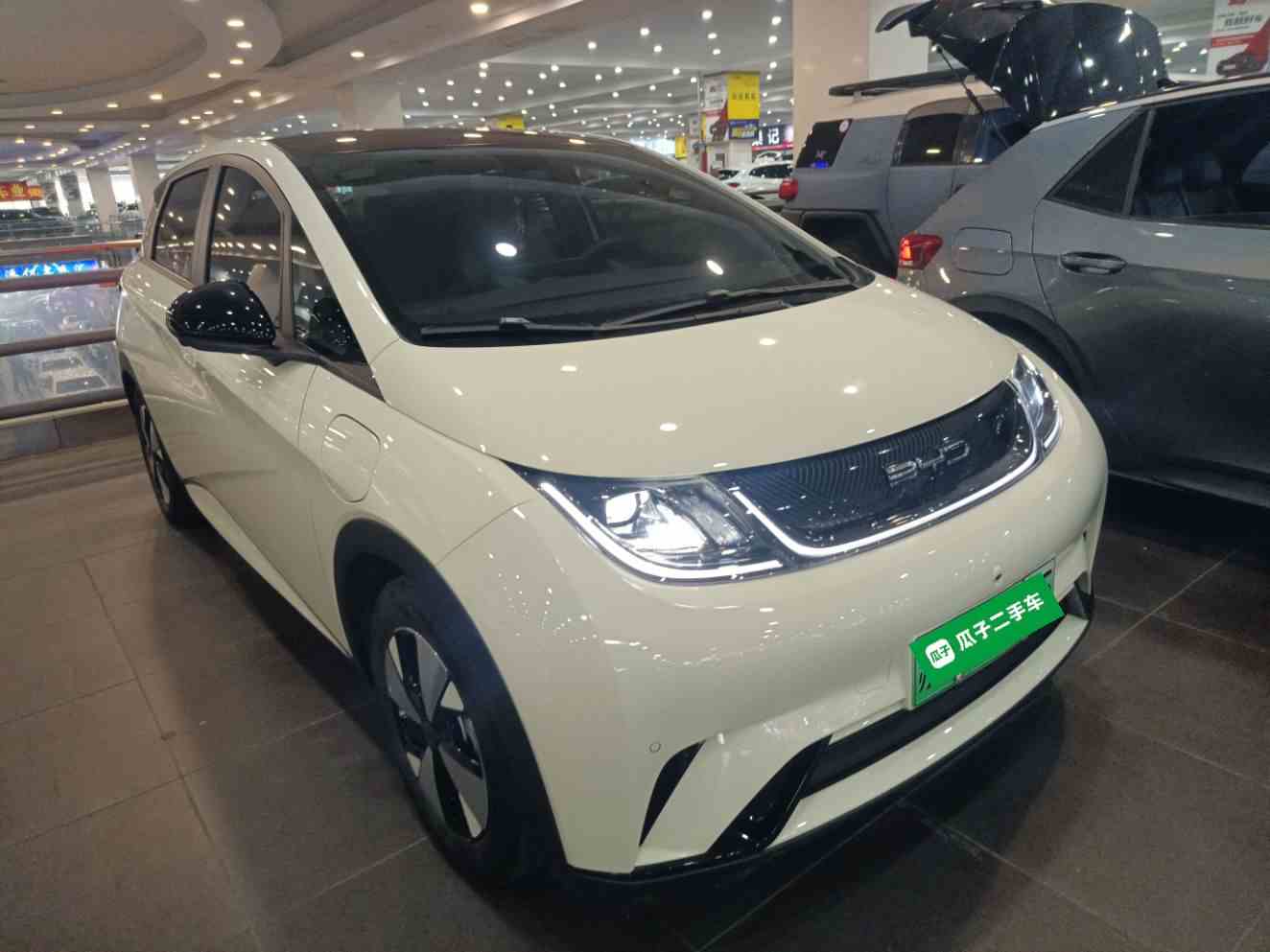 比亚迪 海豚 2023款 420km 时尚版(5)