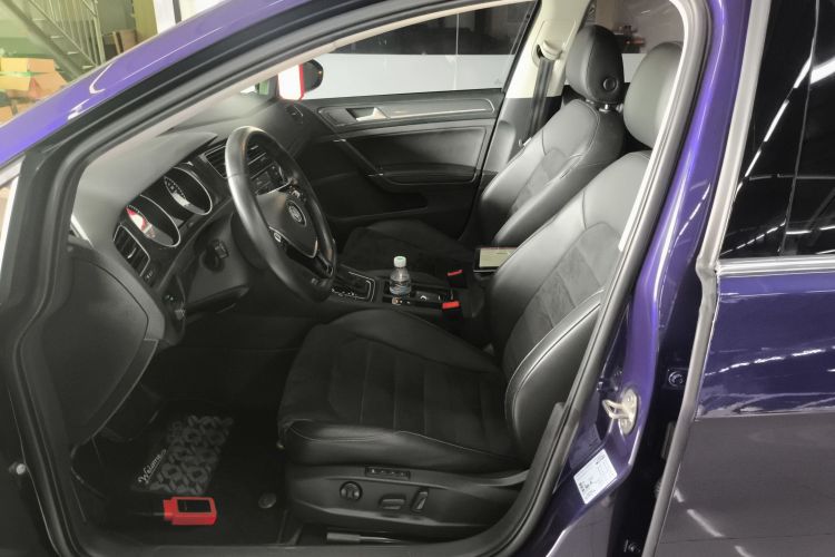 大众 高尔夫 2018款  230TSI 自动豪华型局部细节19