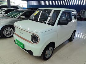 吉利银河 2024款 熊猫mini 200km 耐力熊