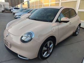 欧拉好猫 2023款 401km标准续航 豪华型 磷酸铁锂