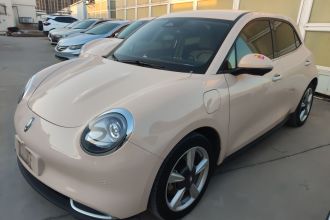 欧拉好猫 2023款 401km标准续航 豪华型 磷酸铁锂