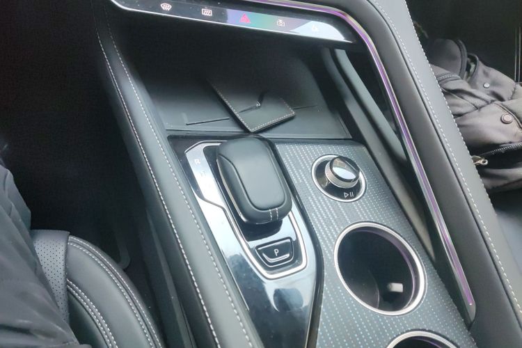 极氪001 2022款 超长续航单电机 WE版局部细节18