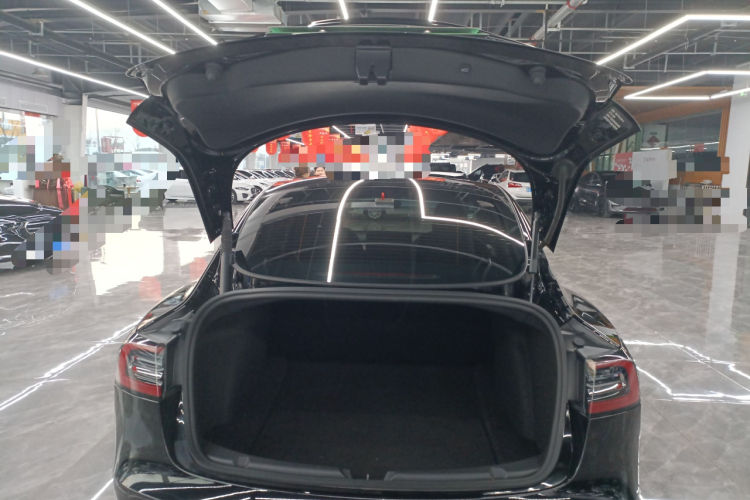 特斯拉 Model 3 2021款 标准续航后驱升级版 3D6局部细节23