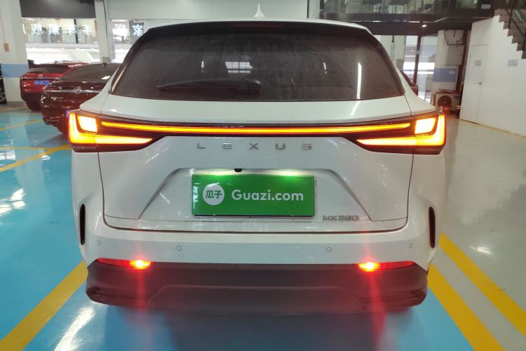 雷克萨斯NX 2023款 260 前驱 创驰版车身外观6