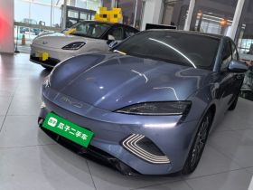 比亚迪 海豹 2023款 冠军版 550km 尊贵型