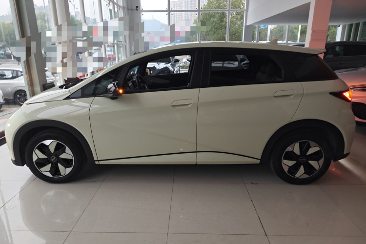 比亚迪 海豚 2024款 荣耀版 420km 自由版车身外观6003