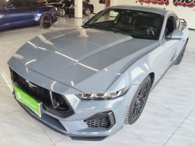 福特 Mustang 2024款 2.3T EcoBoost 硬顶性能版