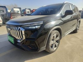 吉利汽车 豪越L 2023款 2.0T DCT尊贵型