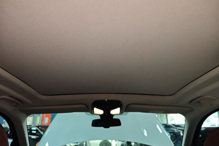 宝马X5(进口) 2020款 xDrive40i M运动套装中控内饰22