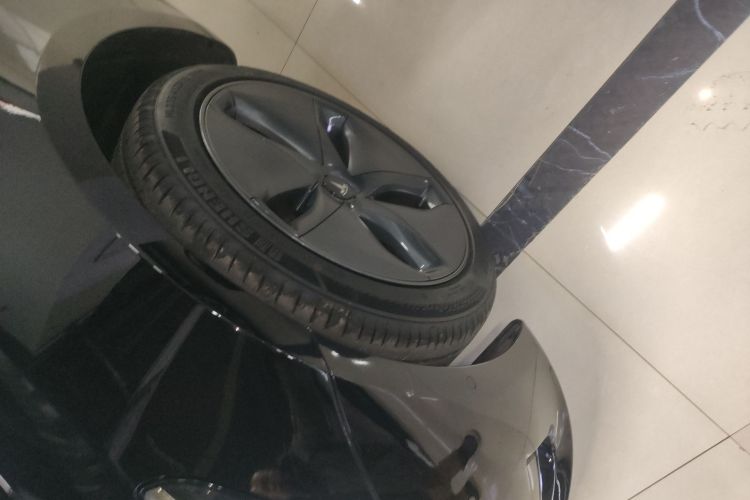 特斯拉 Model 3 2020款 标准续航后驱升级版车身外观6003