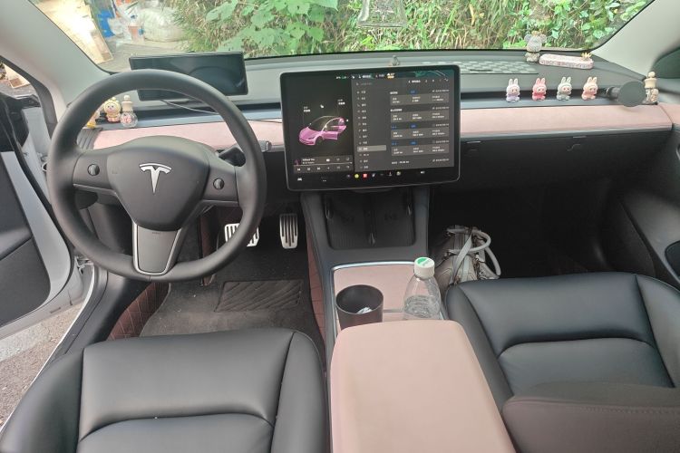 特斯拉 Model 3 2021款 标准续航后驱升级版中控内饰12
