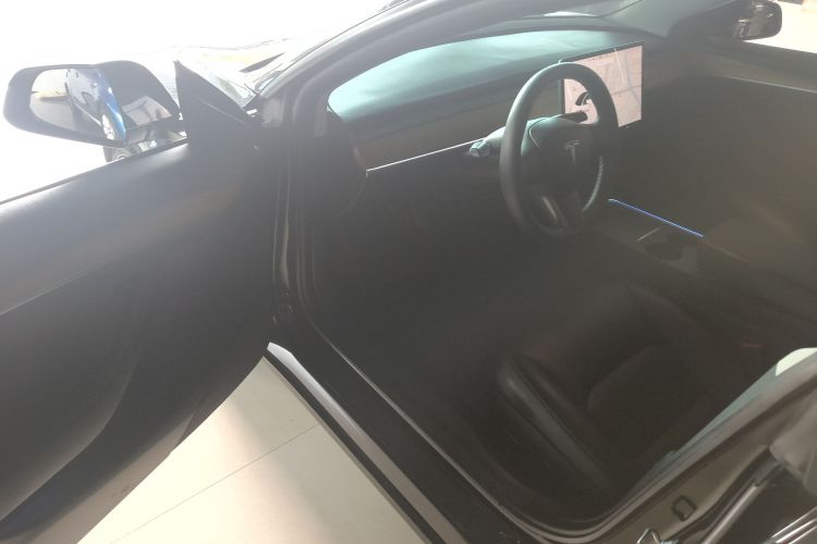 特斯拉 Model 3 2021款 改款 标准续航后驱升级版 3D1中控内饰20