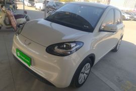 五菱汽车 五菱缤果 2023款 333km 快享款