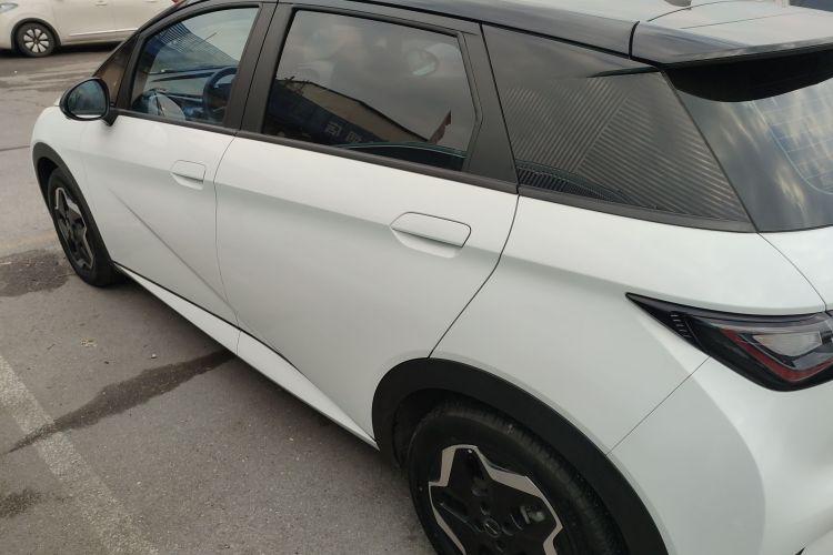 比亚迪 海豚 2021款 405km 时尚版车身外观4