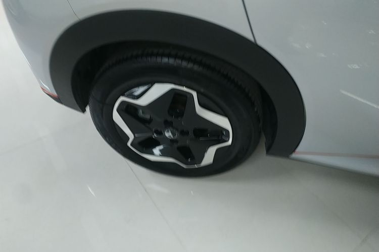 比亚迪 海豚 2021款 405km 时尚版车身外观6008