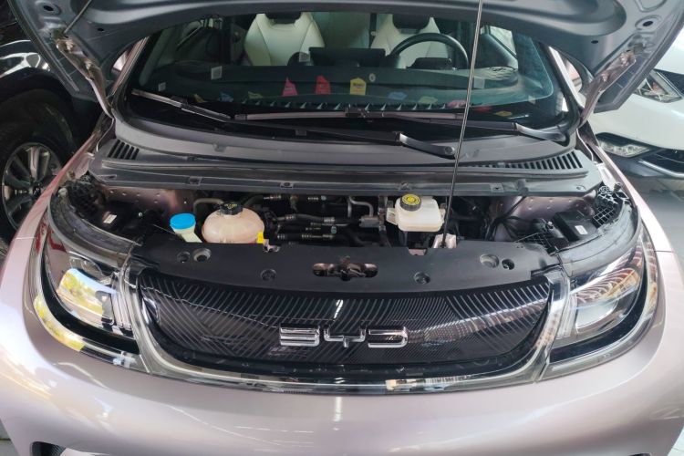 比亚迪 海豚 2021款 405km 自由版机舱底盘24