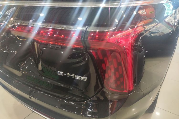 红旗E-HS9 2021款 460km 旗享版 六座车身外观9