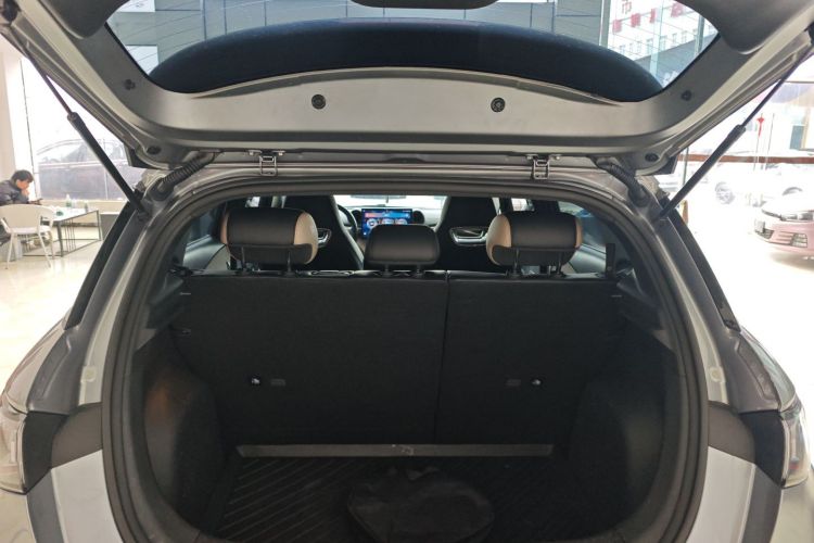 比亚迪 海豚 2023款 420km 自由版机舱底盘23