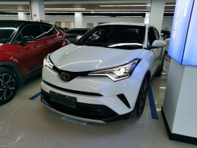 丰田 奕泽IZOA 2020款 2.0L 奕驰版