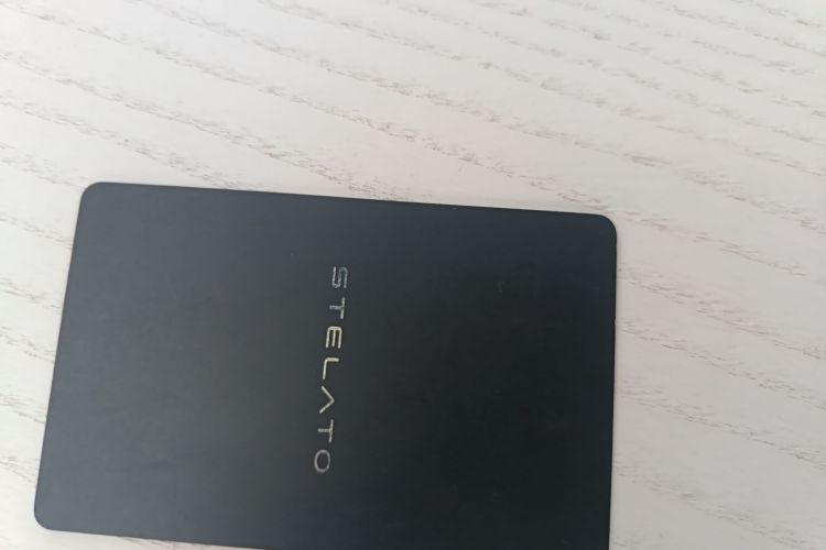 鸿蒙智行 享界S9 2024款 纯电 Max 后驱长航版中控内饰7001