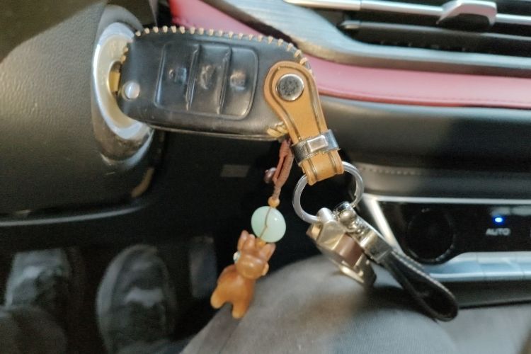 长安CS55PLUS 2020款 1.5T 手动炫色型中控内饰11