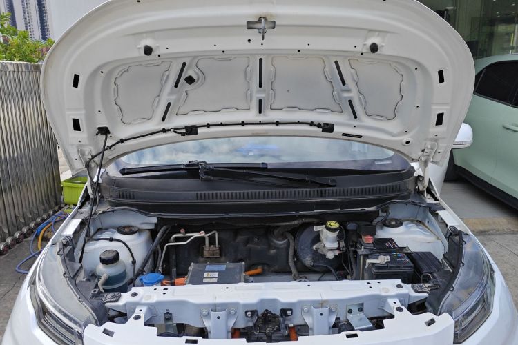 大运 悦虎 2022款 30.66kWh 两驱标准版机舱底盘24