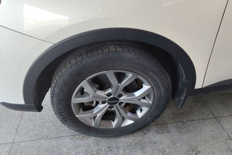 哈弗H6 2021款 国潮版 1.5T 自动冠军版车身外观6007