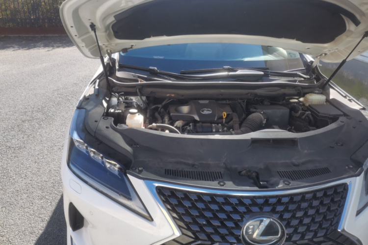 雷克萨斯RX 2020款 300 四驱典雅版 国VI局部细节9006