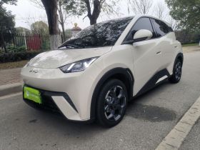 比亚迪 海鸥 2025款 305km 自由版