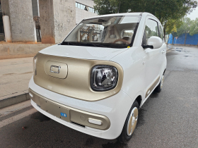 奔腾小马 2026款 222km 闪耀马