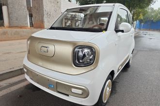 奔腾小马 2026款 222km 闪耀马