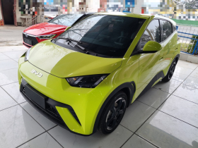 比亚迪 海鸥 2023款 飞翔版