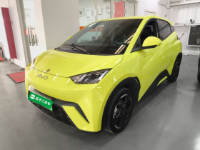 比亚迪 海鸥 2024款 荣耀版 305km 自由版