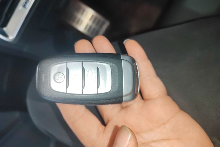 红旗E-HS9 2021款 460km 旗享版 六座中控内饰7001