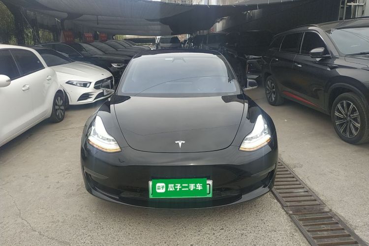 特斯拉 Model 3(进口) 2019款 长续航全轮驱动版车身外观6001