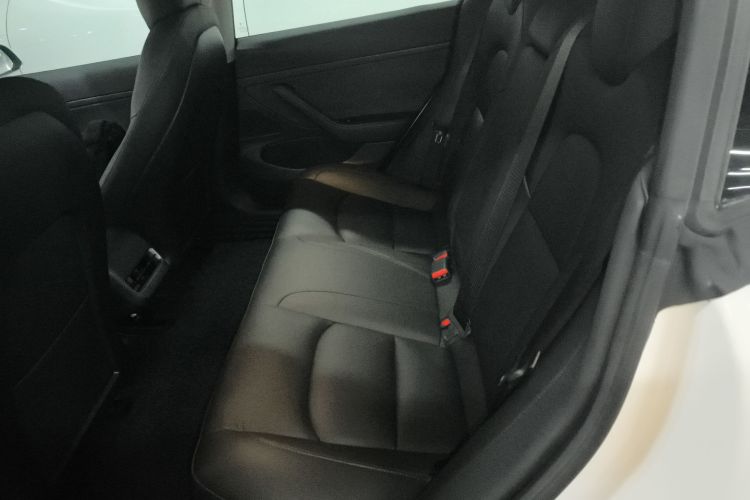 特斯拉 Model 3 2020款 改款 标准续航后驱升级版中控内饰7004