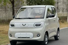 五菱汽车 宏光MINIEV 2024款 第三代 215km 青春版