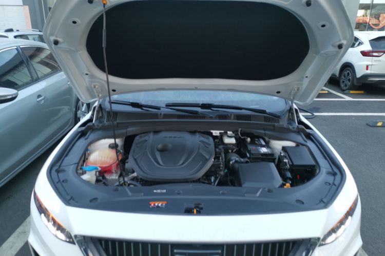 吉利汽车 星瑞 2021款 改款 2.0TD 尊贵型机舱底盘24