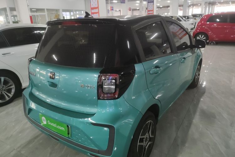 思皓 2022款 花仙子款 四叶草车身外观7