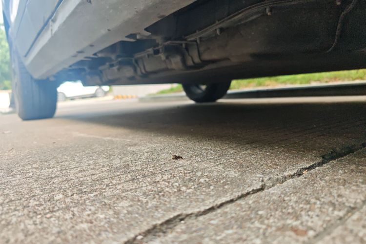 零跑汽车 零跑T03 2022款 皓玉版局部细节9001