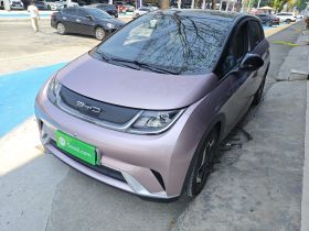 比亚迪 海豚 2021款 405km 时尚版